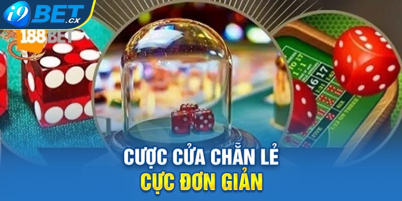 Cược cửa chẵn lẻ cực đơn giản