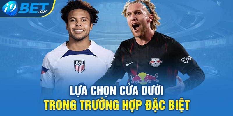 Lựa chọn cửa dưới trong trường hợp đặc biệt