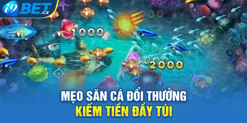 Mẹo săn cá đổi thưởng kiếm tiền đầy túi