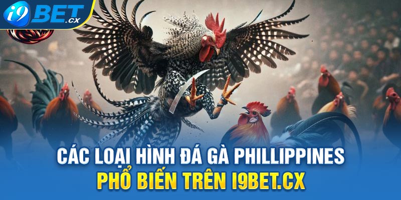 Các Loại Hình Đá Gà Phillippines Phổ Biến Trên i9bet.cx