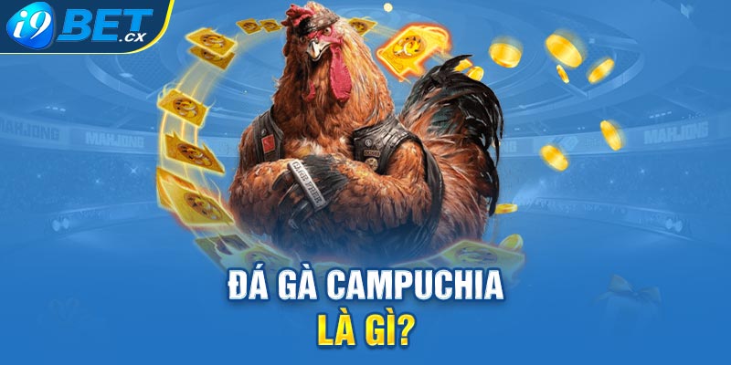 Đá gà campuchia là gì?