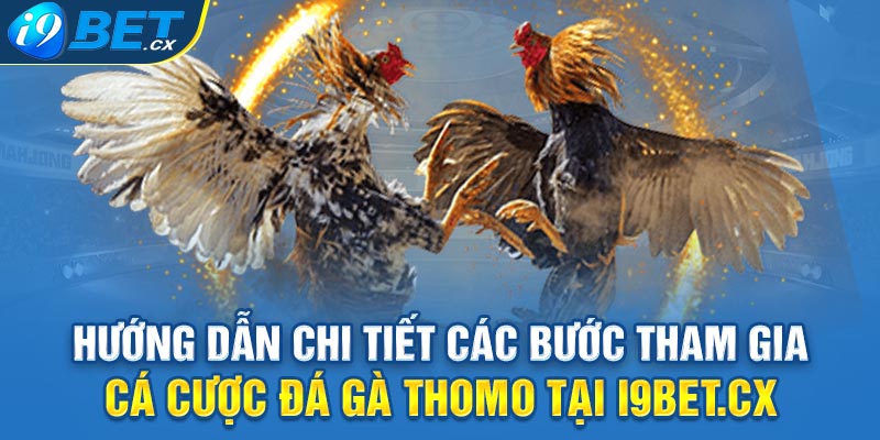 Hướng dẫn chi tiết các bước tham gia cá cược đá gà thomo tại i9bet.cx