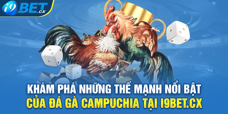 Khám phá những thế mạnh nổi bật của đá gà campuchia tại i9bet.cx