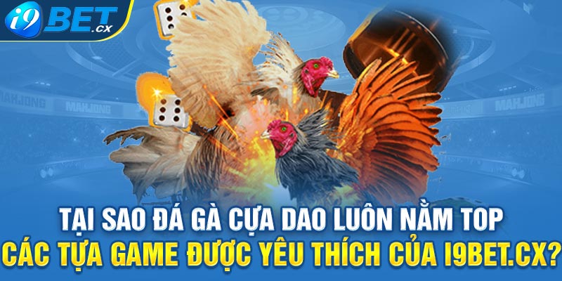 Tại sao đá gà cựa dao luôn nằm top các tựa game được yêu thích của i9bet.cx?